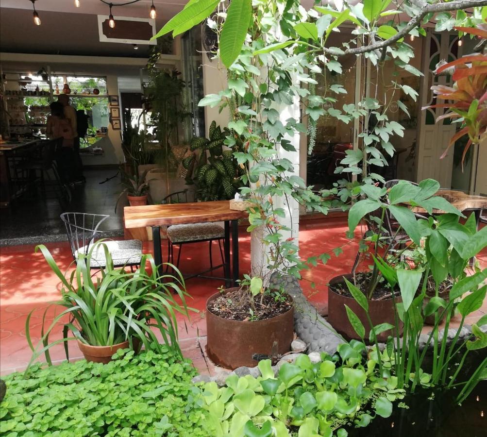 Cinco Hotel B&B San Salvador Dış mekan fotoğraf