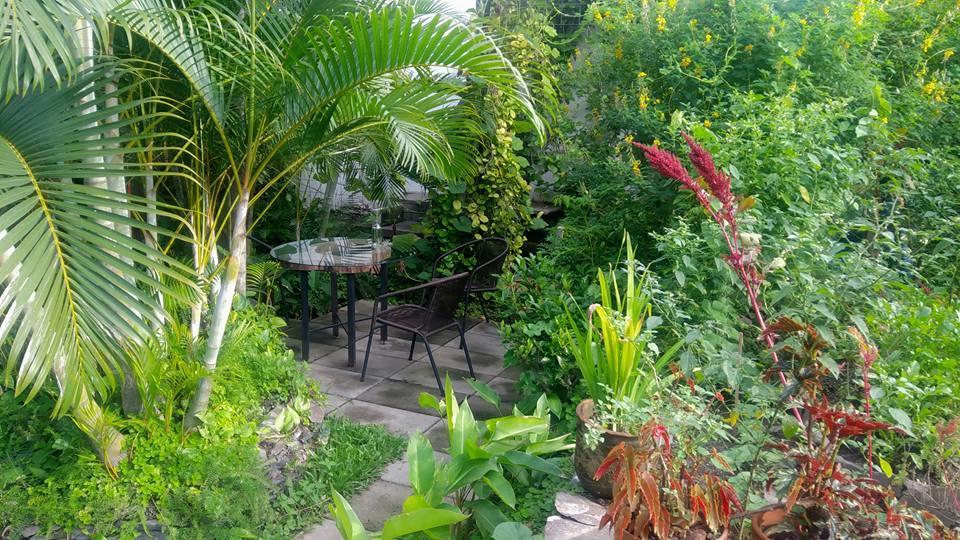 Cinco Hotel B&B San Salvador Dış mekan fotoğraf