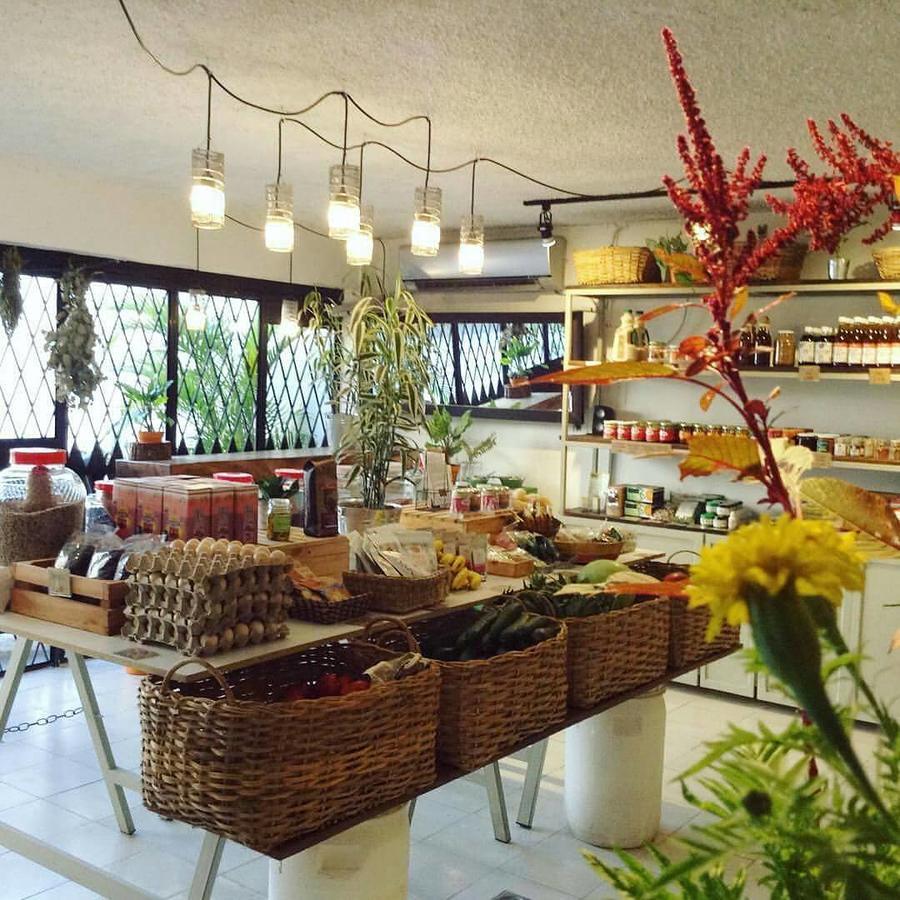 Cinco Hotel B&B San Salvador Dış mekan fotoğraf