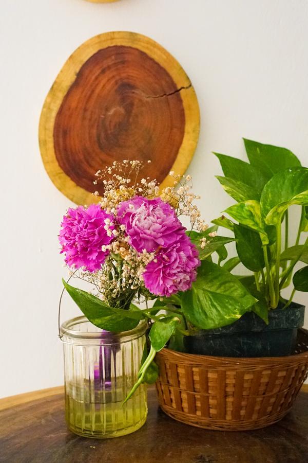 Cinco Hotel B&B San Salvador Dış mekan fotoğraf